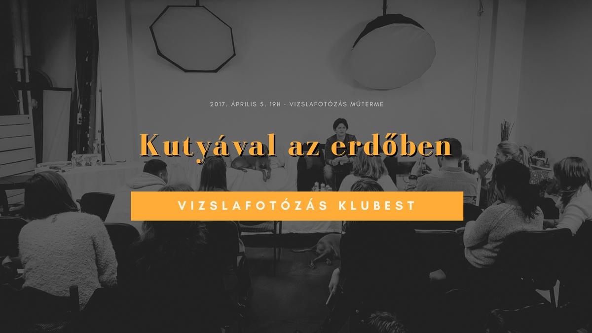 Vizslafotozas_klubest-Kutyaval_az_erdoben